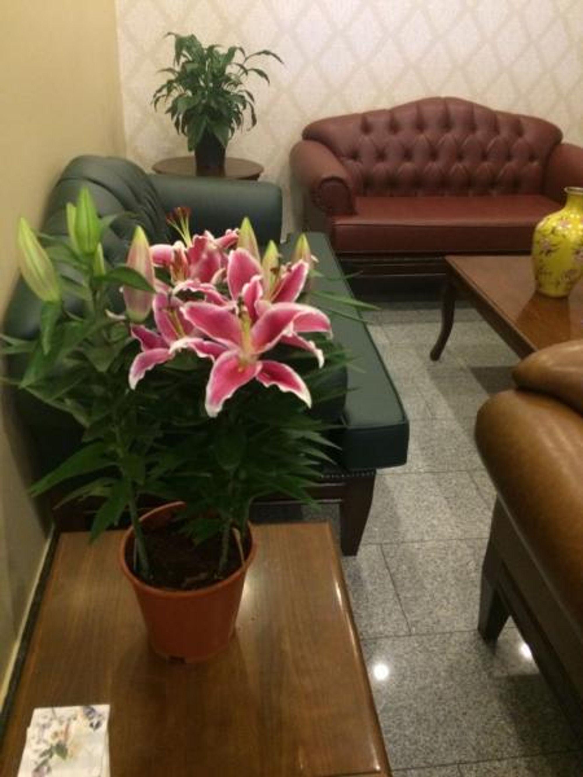 Uenver Hotel Адана Екстериор снимка